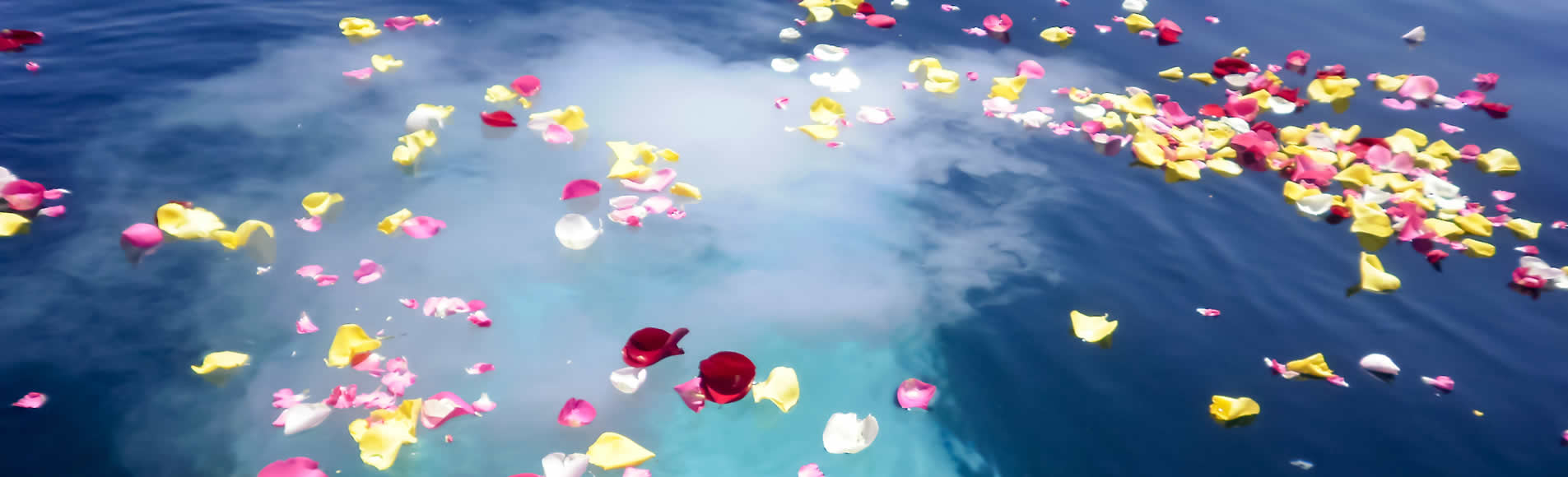 海洋散骨 うみと大地の自然葬